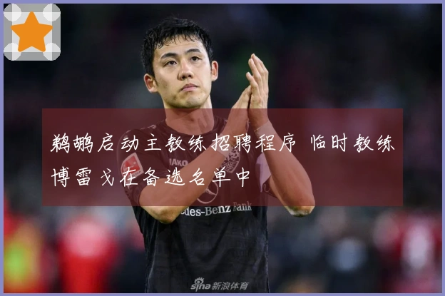 鹈鹕启动主教练招聘程序 临时教练博雷戈在备选名单中