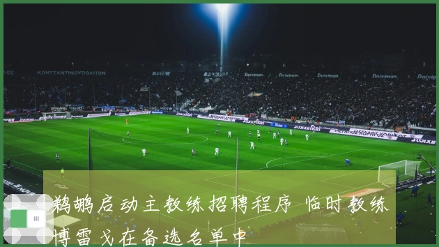 鹈鹕启动主教练招聘程序 临时教练博雷戈在备选名单中